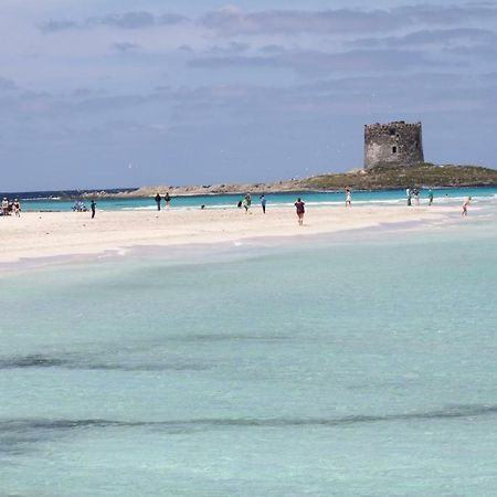 Casa Vacanze Margherita Porto Torres Bagian luar foto
